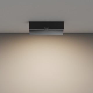 Потолочный светильник Technical C133CL-12W3K-B-foto4