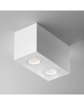 Потолочный светильник Technical C017CL-02W