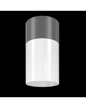 Потолочный светильник Outdoor O418CL-01GR-foto3