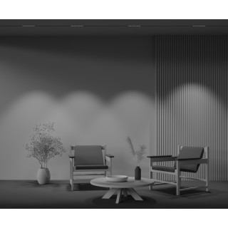 Трековый светильник Technical TR031-4-12WTW-DD-B-foto5