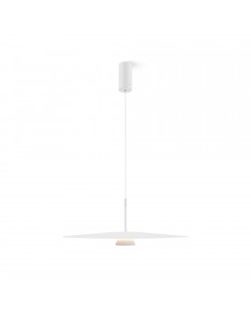 Подвесной светильник Maytoni MOD352PL-L10W3K1-foto5