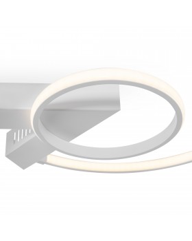 Потолочный светильник Freya FR6020CL-L31W-foto3