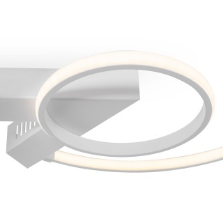 Потолочный светильник Freya FR6020CL-L31W-foto3