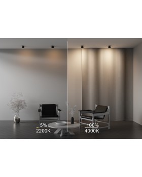 Встраиваемый светильник Technical DL024-12W-DTW-B-foto4