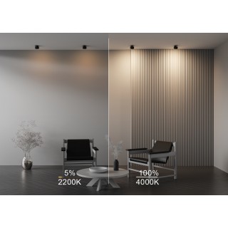 Встраиваемый светильник Technical DL024-12W-DTW-B-foto4