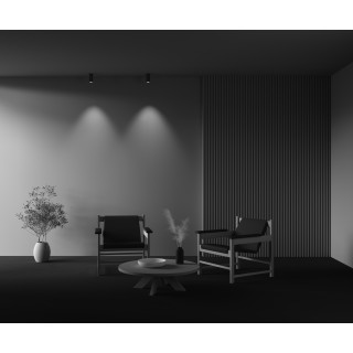 Потолочный светильник Technical C056CL-L12W4K-W-BS-foto6