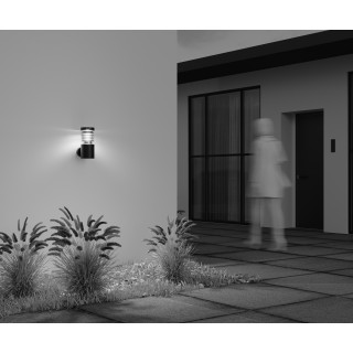 Настенный светильник (бра) Outdoor O439WL-L12GF3K-foto7