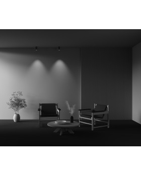 Потолочный светильник Technical C056CL-L12W3K-W-BS-foto6