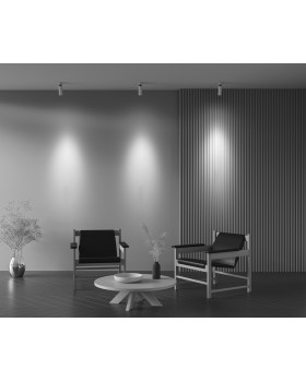 Потолочный светильник Technical C055CL-L12W3K-Z-W-foto8