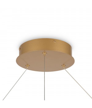 Подвесной светильник Maytoni MOD058PL-L65BSK-foto5