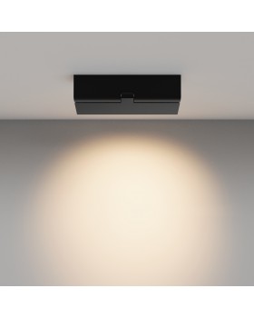 Потолочный светильник Technical C136CL-12W3K-B-foto4