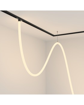 Трековый подвесной светильник Technical TR101-2-100W3K-B-foto2