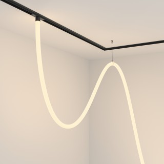 Трековый подвесной светильник Technical TR101-2-100W3K-B-foto2