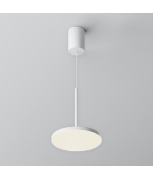 Подвесной светильник Technical P076PL-L12W4K-W-foto3