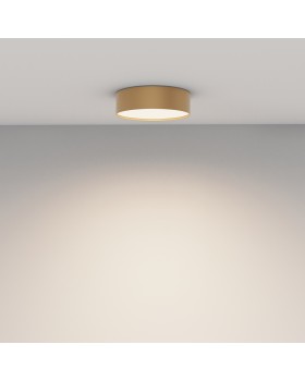 Потолочный светильник Technical C032CL-24W4K-RD-MG-foto10