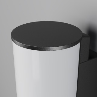 Настенный светильник (бра) Outdoor O434WL-L12GF3K-foto2