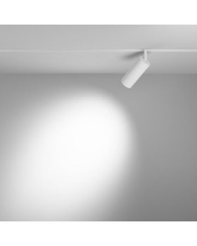 Трековый светильник Technical TR032-4-12WTW-S-DD-W-foto4