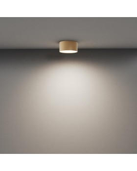 Потолочный светильник Technical C032CL-12W4K-RD-MG-foto4