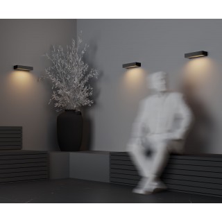 Настенный светильник (бра) Outdoor O428WL-L10GF3K-foto7