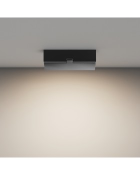 Потолочный светильник Technical C133CL-12W4K-B-foto4