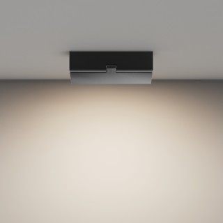 Потолочный светильник Technical C133CL-12W4K-B-foto4