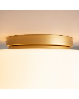 Потолочный светильник Maytoni MOD270CL-01G-foto3