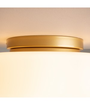 Потолочный светильник Maytoni MOD270CL-01G-foto3