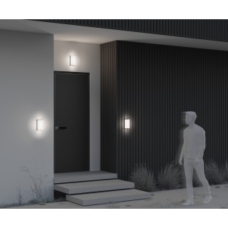 Настенный светильник (бра) Outdoor O454WL-L10GF3K-foto8