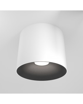 Потолочный светильник Technical C064CL-01-25W3K-D-RD-WB