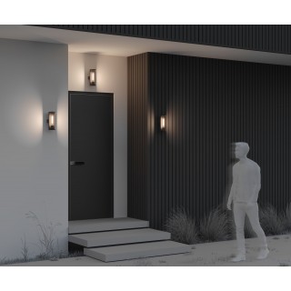 Настенный светильник (бра) Outdoor O451WL-01GF-foto7