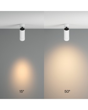Потолочный светильник Technical C055CL-L12W3K-Z-W-foto2