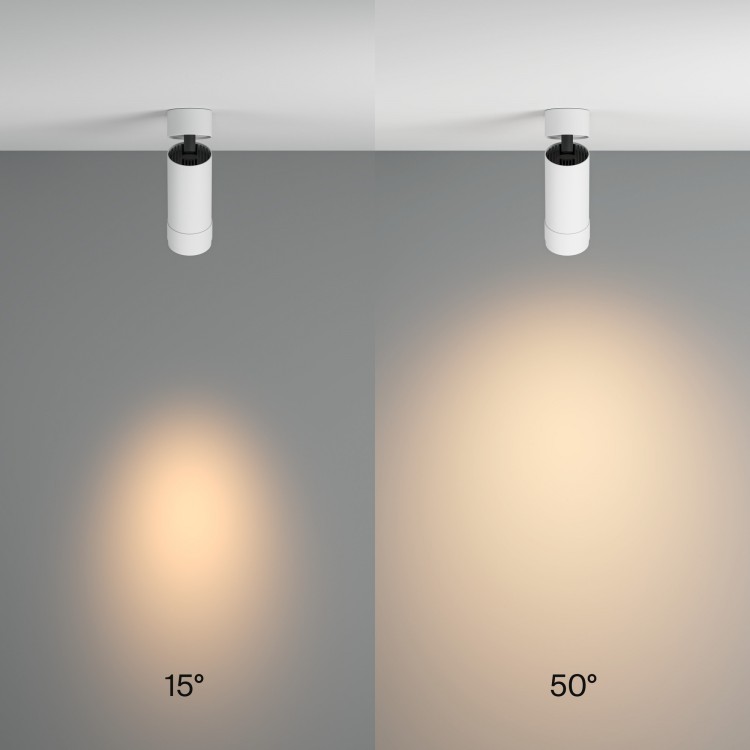 Потолочный светильник Technical C055CL-L12W3K-Z-W