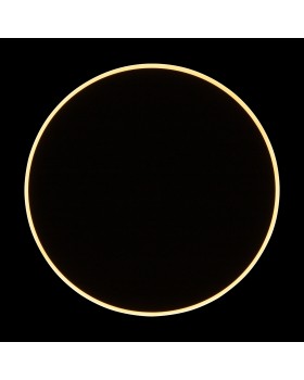 Настенный светильник (бра) Freya FR6002WL-L20B-foto9