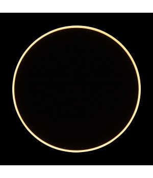 Настенный светильник (бра) Freya FR6002WL-L20B-foto9