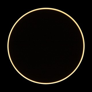 Настенный светильник (бра) Freya FR6002WL-L20B-foto9