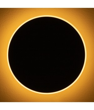 Настенный светильник (бра) Freya FR6002WL-L20B-foto23