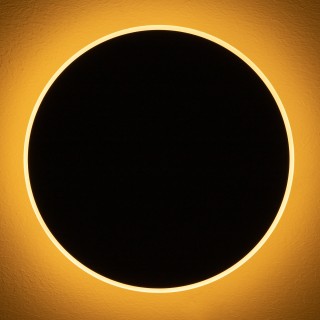 Настенный светильник (бра) Freya FR6002WL-L20B-foto23