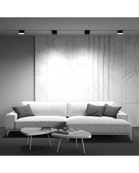 Трековый светильник Technical TR075-2-10W4K-B-foto7