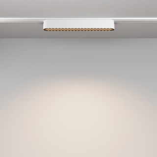 Трековый светильник Technical TR084-1-12W4K-W-foto4