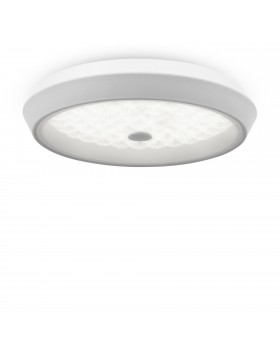 Потолочный светильник Freya FR10012CL-L24W