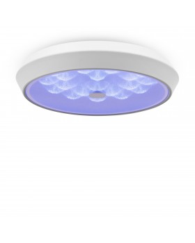 Потолочный светильник Freya FR10012CL-L24W-foto12