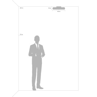 Потолочный светильник Freya FR10012CL-L24W-foto4