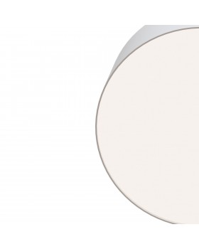 Потолочный светильник Technical C032CL-L12W4K-foto3