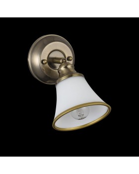 Спот Freya FR2272-WL-01-BS-foto6