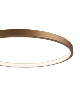 Потолочный светильник Freya FR10014CL-L63G-foto7