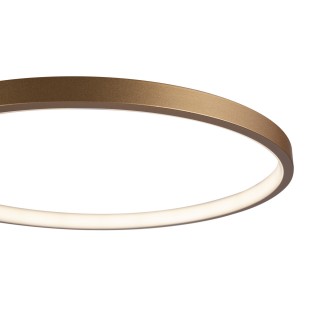 Потолочный светильник Freya FR10014CL-L63G-foto7