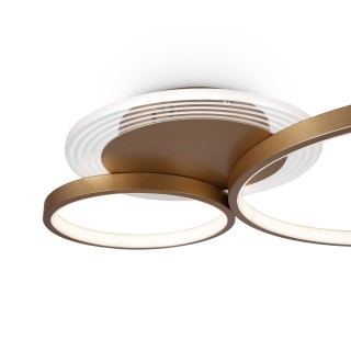 Потолочный светильник Freya FR10014CL-L63G-foto9