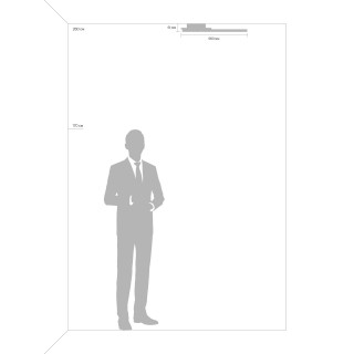 Потолочный светильник Freya FR10014CL-L63G-foto5