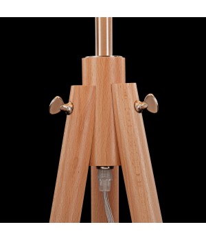 Напольный светильник (торшер) Maytoni Z177-FL-01-BR-foto11