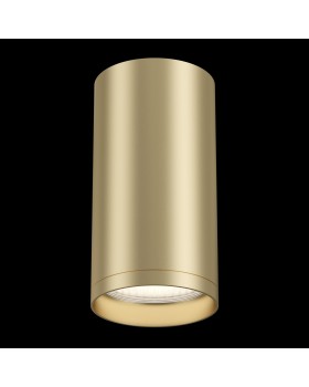 Потолочный светильник Technical C052CL-01MG-foto4